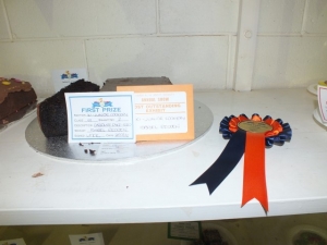 DSCF3861 (Small)
