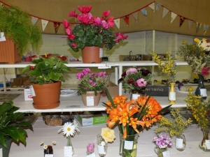 Flowers26