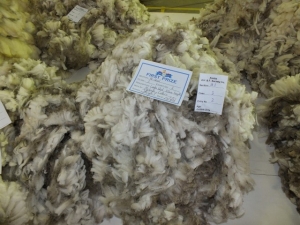 Wool3