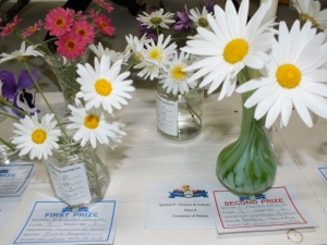 Flowers31