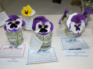 Flowers21