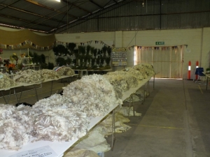 Wool2